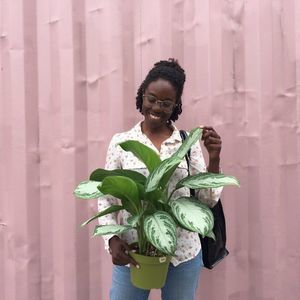 Meet your Posher, Della